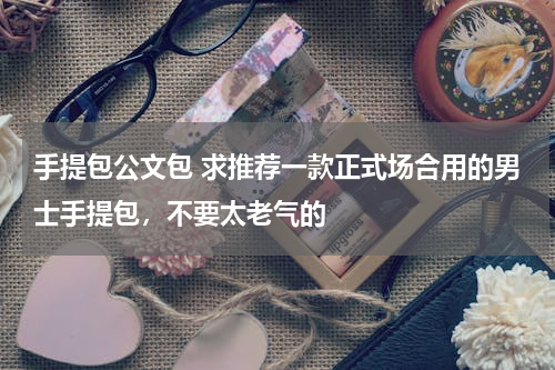 手提包公文包 求推荐一款正式场合用的男士手提包，不要太老气的