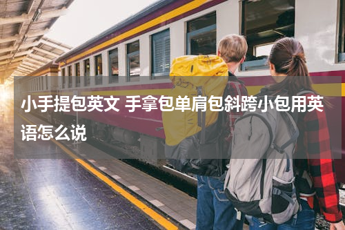 小手提包英文 手拿包单肩包斜跨小包用英语怎么说