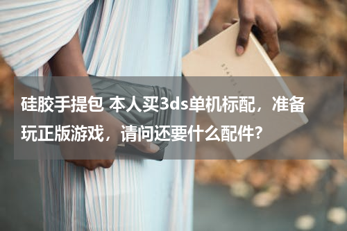 硅胶手提包 本人买3ds单机标配，准备玩正版游戏，请问还要什么配件？