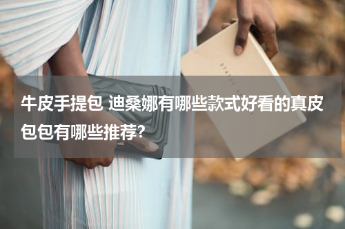 牛皮手提包 迪桑娜有哪些款式好看的真皮包包有哪些推荐？