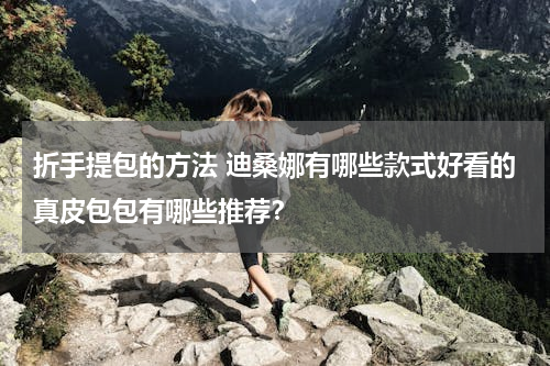 折手提包的方法 迪桑娜有哪些款式好看的真皮包包有哪些推荐？