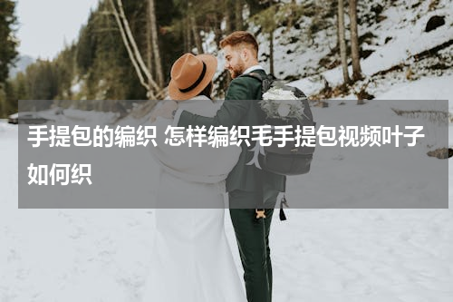 手提包的编织 怎样编织毛手提包视频叶子如何织