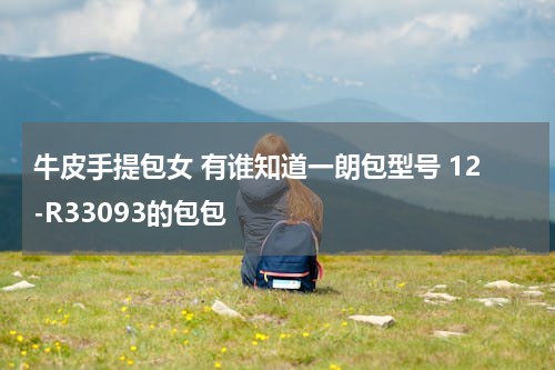 牛皮手提包女 有谁知道一朗包型号 12-R33093的包包