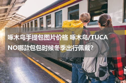 啄木鸟手提包图片价格 啄木鸟/TUCANO哪款包包时候冬季出行佩戴？
