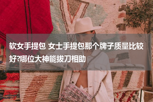 软女手提包 女士手提包那个牌子质量比较好?哪位大神能拔刀相助