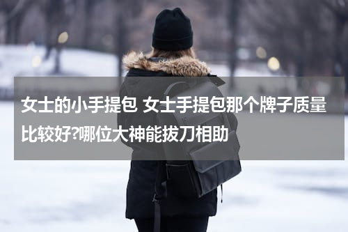 女士的小手提包 女士手提包那个牌子质量比较好?哪位大神能拔刀相助
