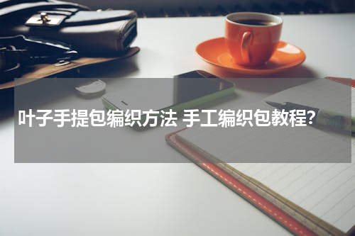 叶子手提包编织方法 手工编织包教程？