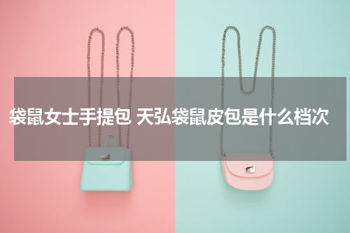袋鼠女士手提包 天弘袋鼠皮包是什么档次