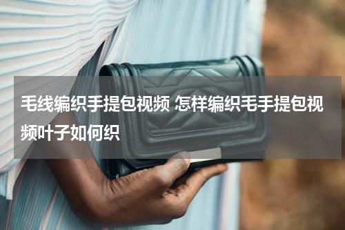 毛线编织手提包视频 怎样编织毛手提包视频叶子如何织