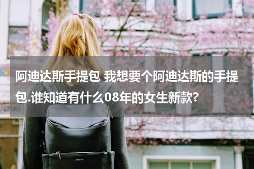 阿迪达斯手提包 我想要个阿迪达斯的手提包.谁知道有什么08年的女生新款?