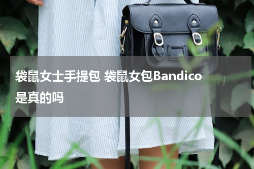 袋鼠女士手提包 袋鼠女包Bandico是真的吗