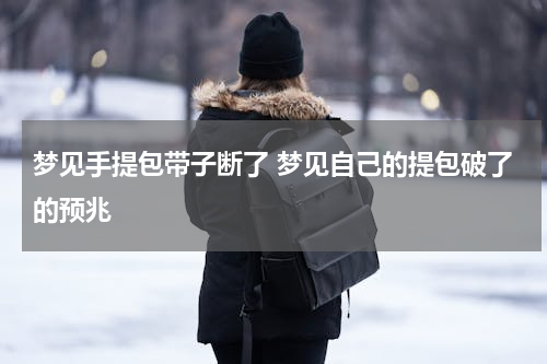 梦见手提包带子断了 梦见自己的提包破了的预兆