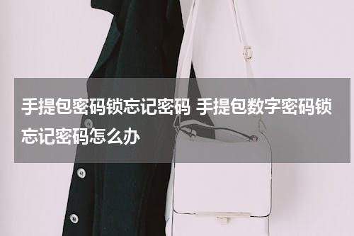 手提包密码锁忘记密码 手提包数字密码锁忘记密码怎么办