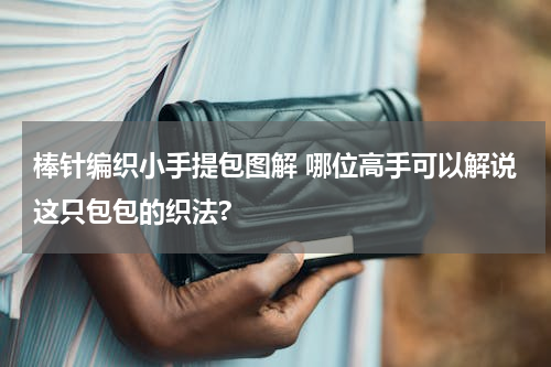 棒针编织小手提包图解 哪位高手可以解说这只包包的织法?